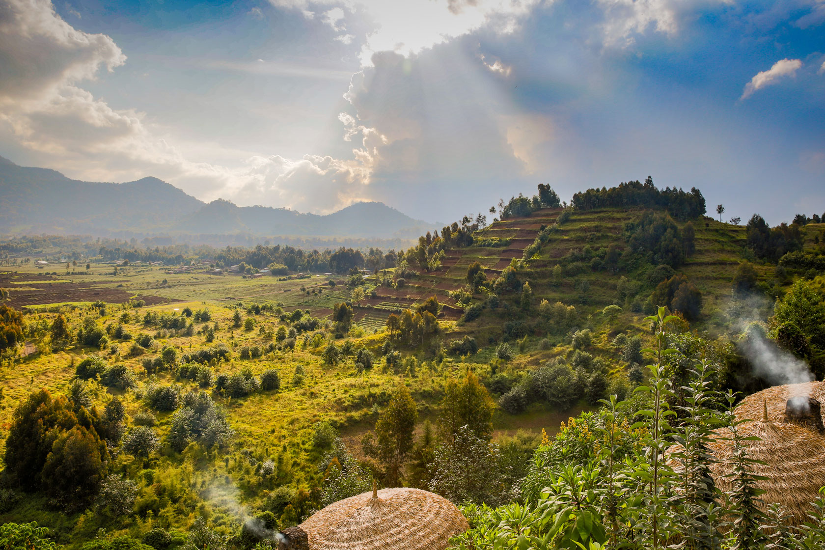 Rwanda volcanoes national park