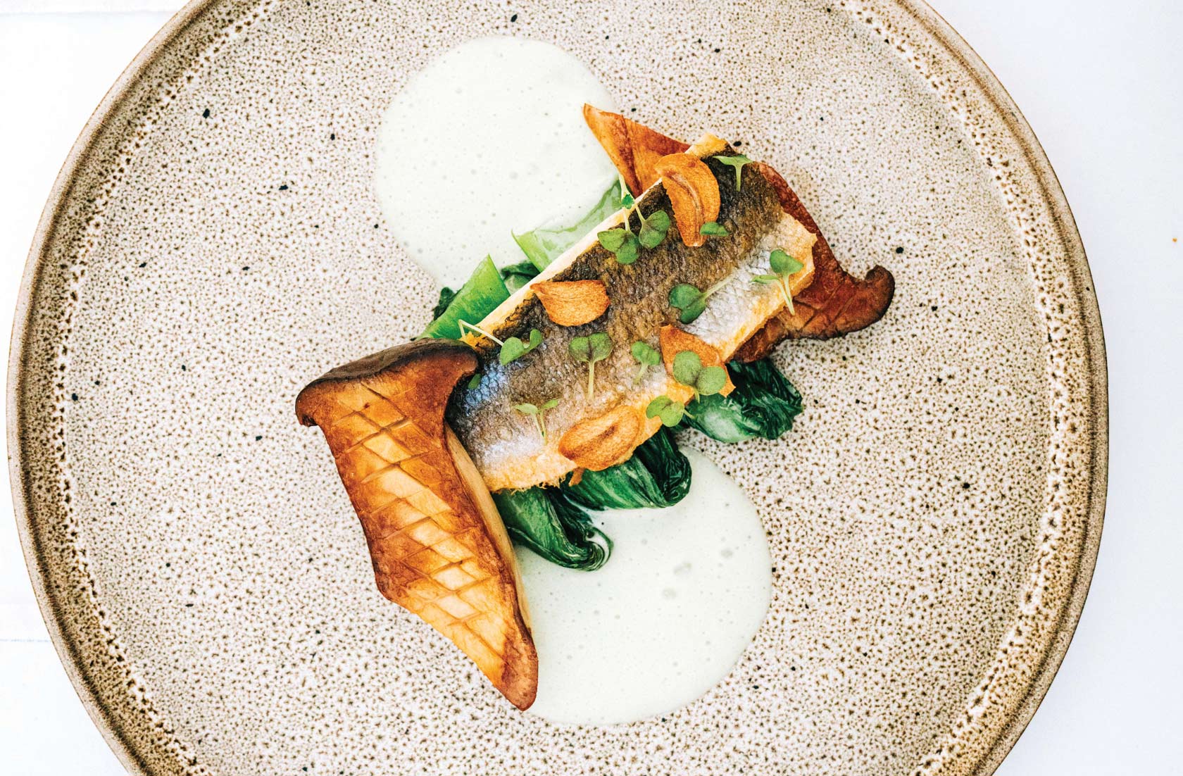 Plated fish