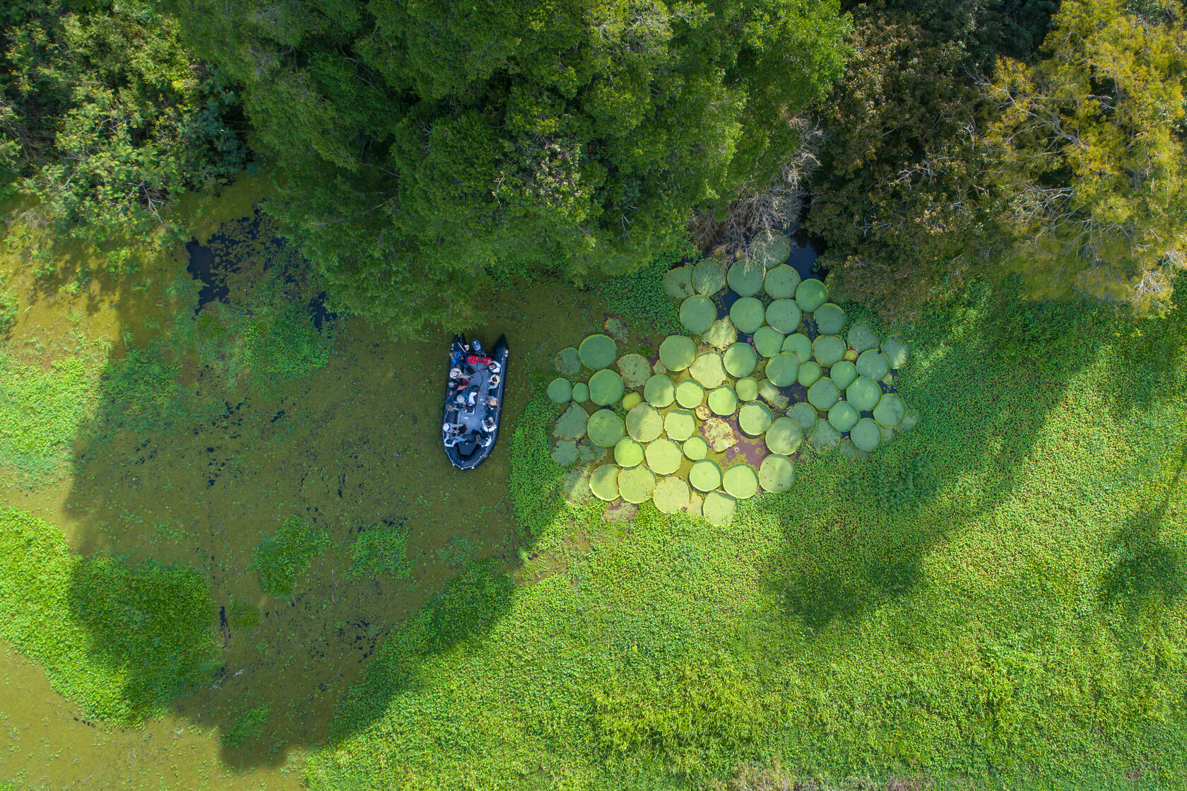Amazon Kayaking Expedition Lily