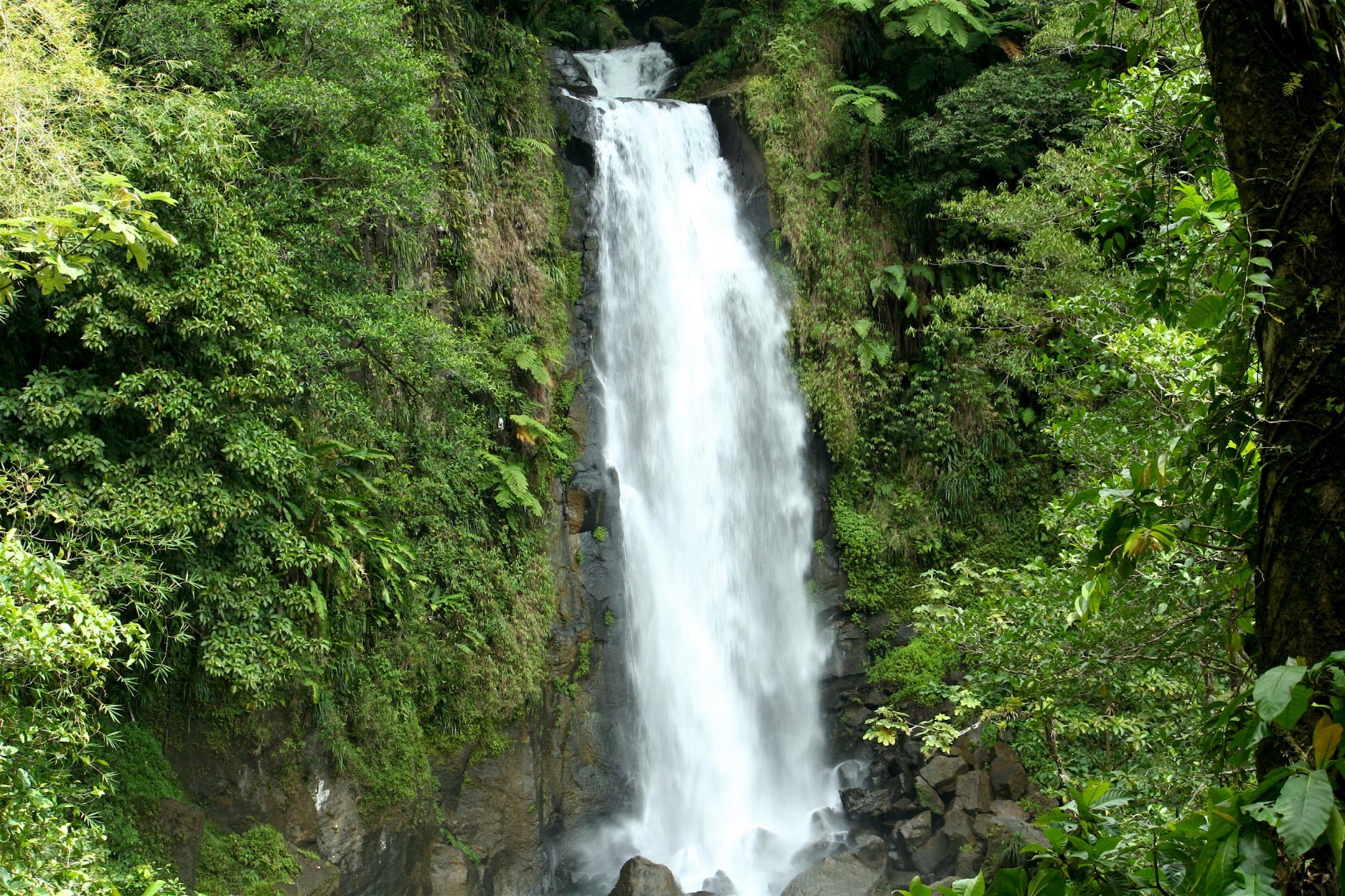 Trafalgar Falls: How to Explore the Waterfalls of Dominica | Current by 