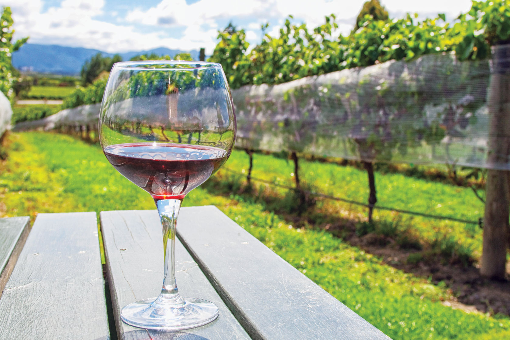 Wine Glass