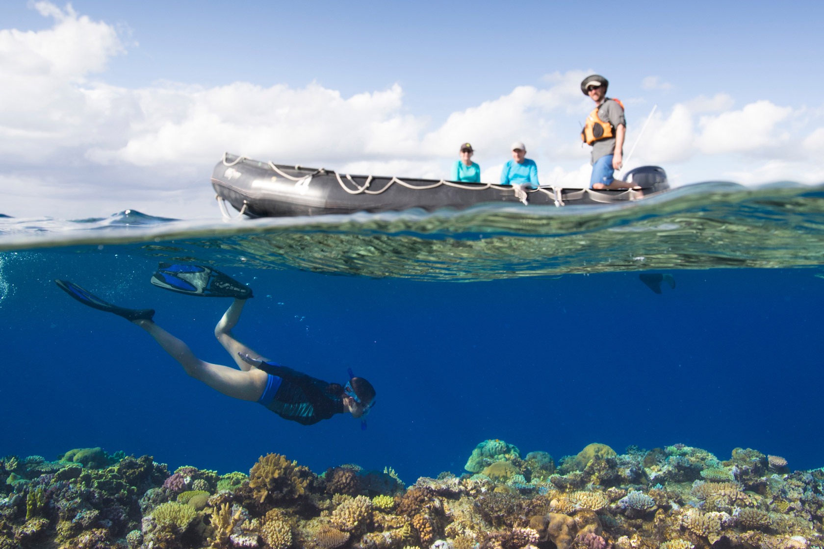 Mare New Caledonia Tadine, coral reef, snorkeling, snorkelling, snorkeler, snorkeller, zodiac