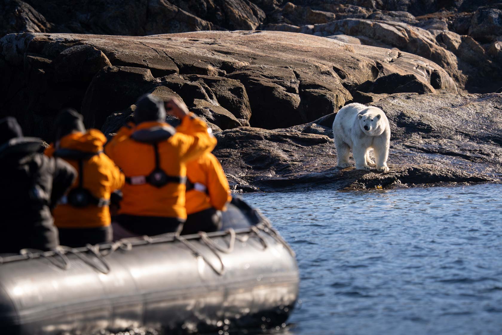 Lower Savage Islands