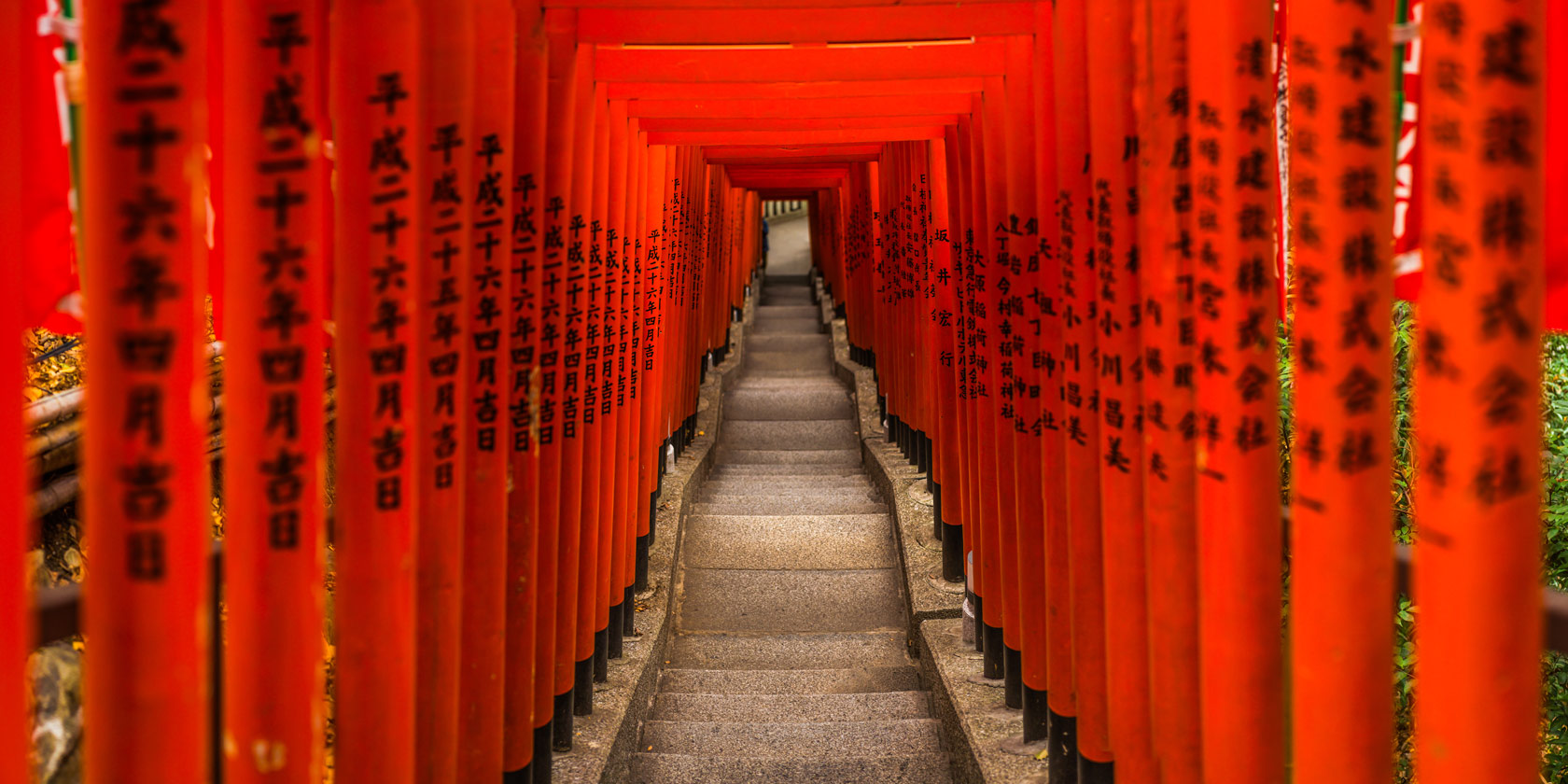 Traditional red torii gates Hei-Jinja Shrine panorama Akasaka Tokyo Japan