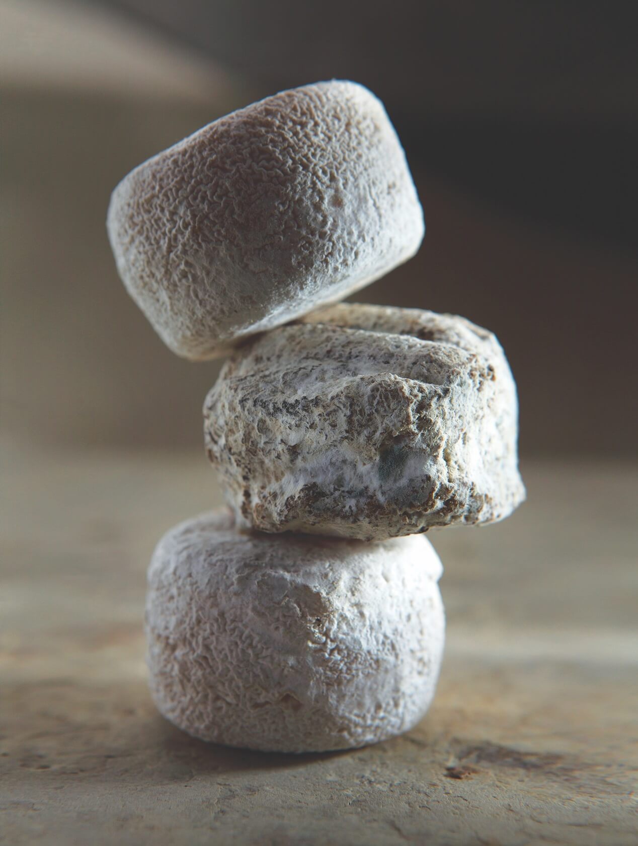 Crottin de Chavignol are stacked on top of each other.