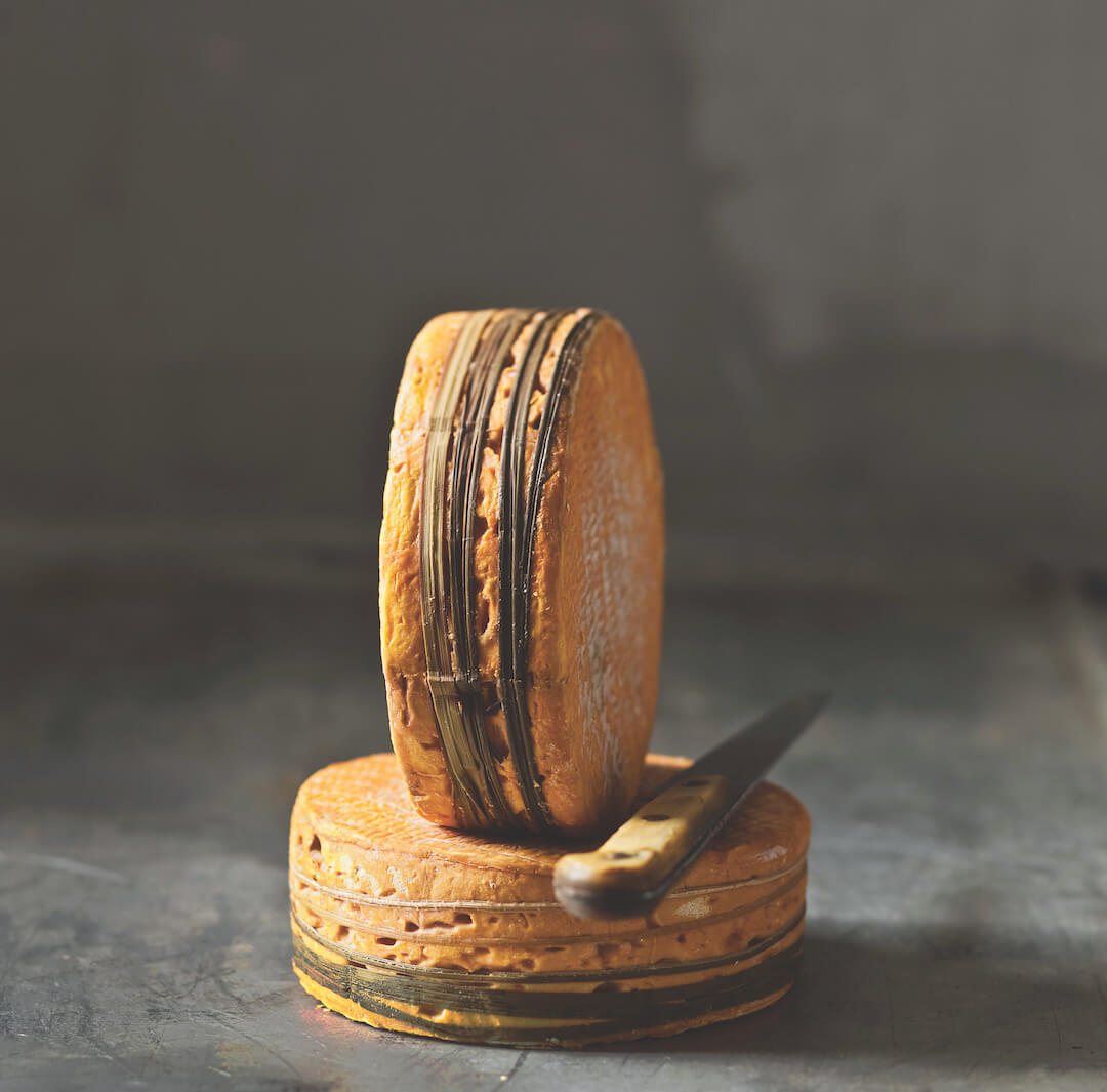 A stack of livarot cheese in the middle of a gray background