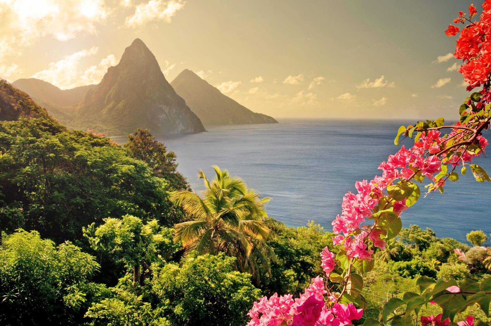 The Healing Plants Of The Caribbean Current By Seabourn