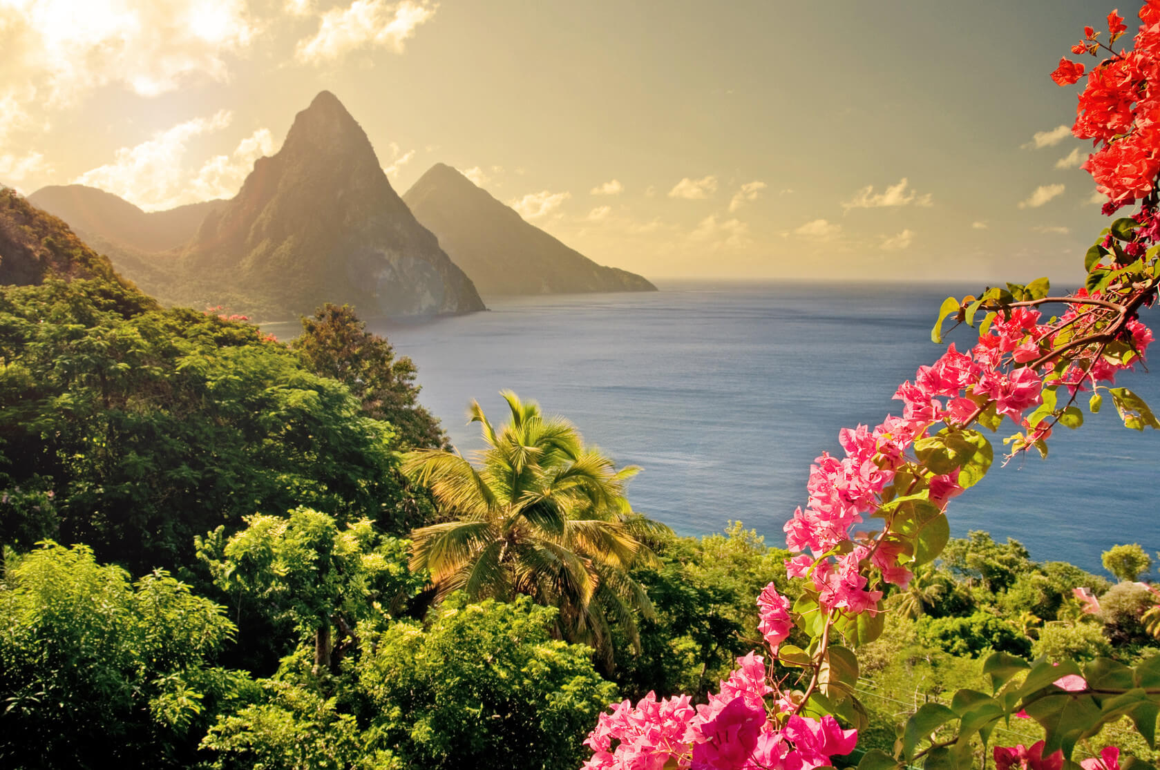 The Healing Plants of the Caribbean Current by Seabourn