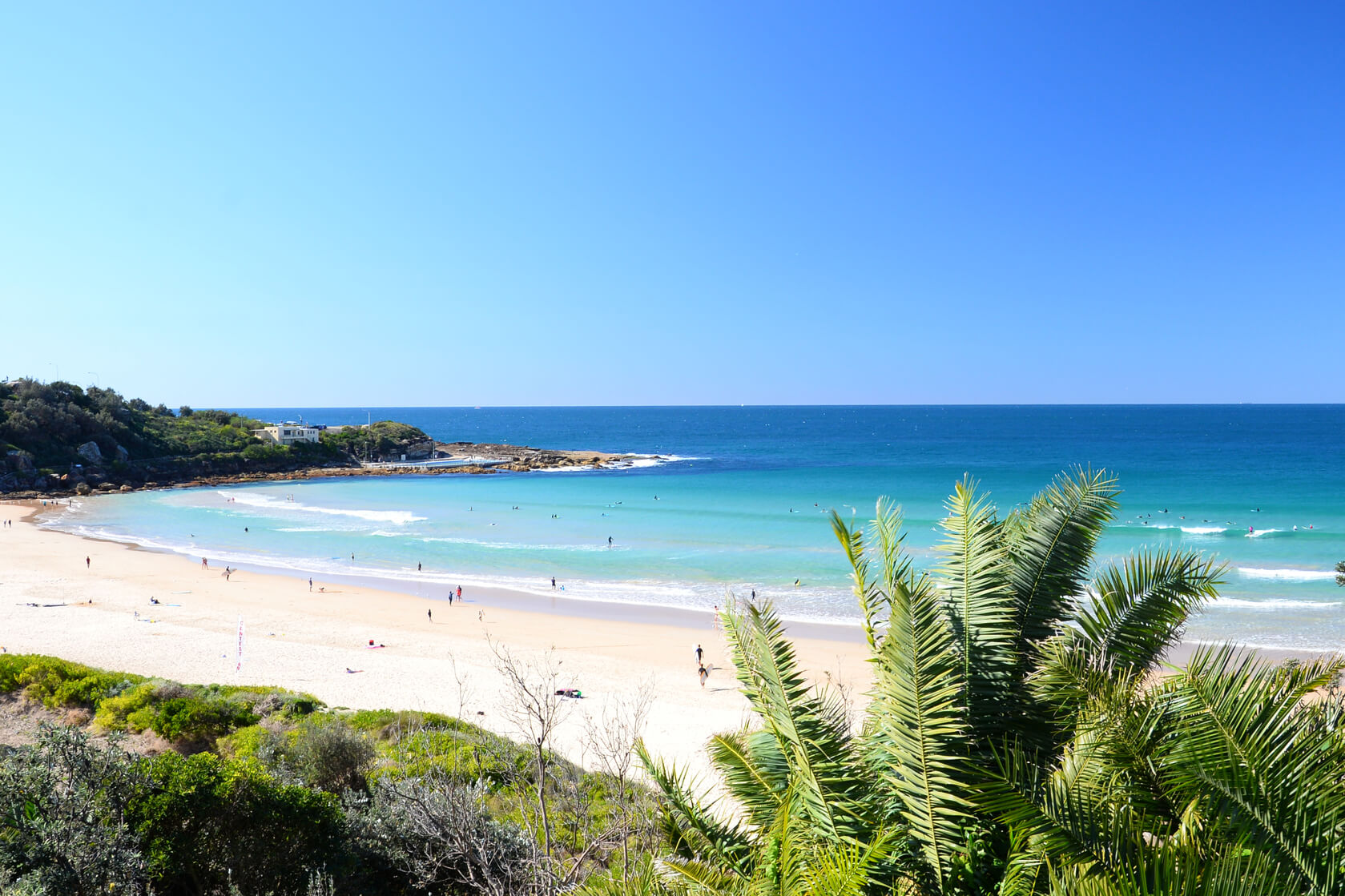 The Sydney coastline showcases a clean and clear beach.