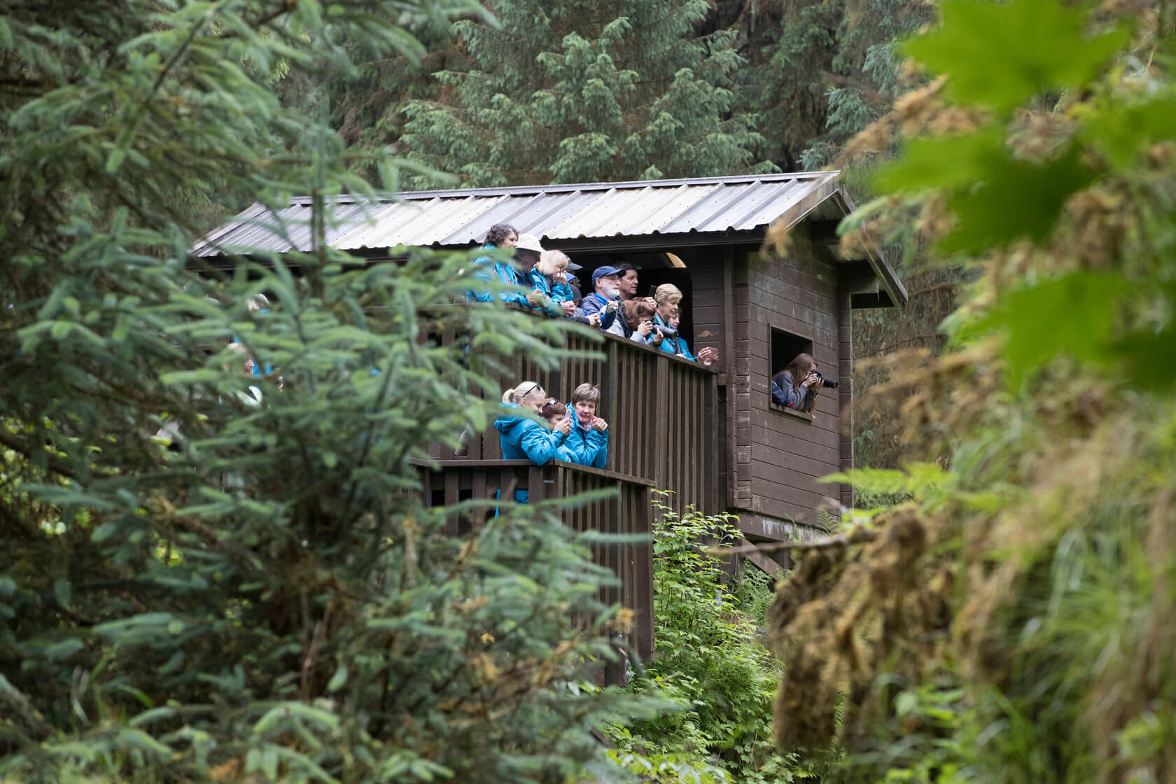 Exploring Wrangell–St. Elias National Park & Preserve, tour, anan creek