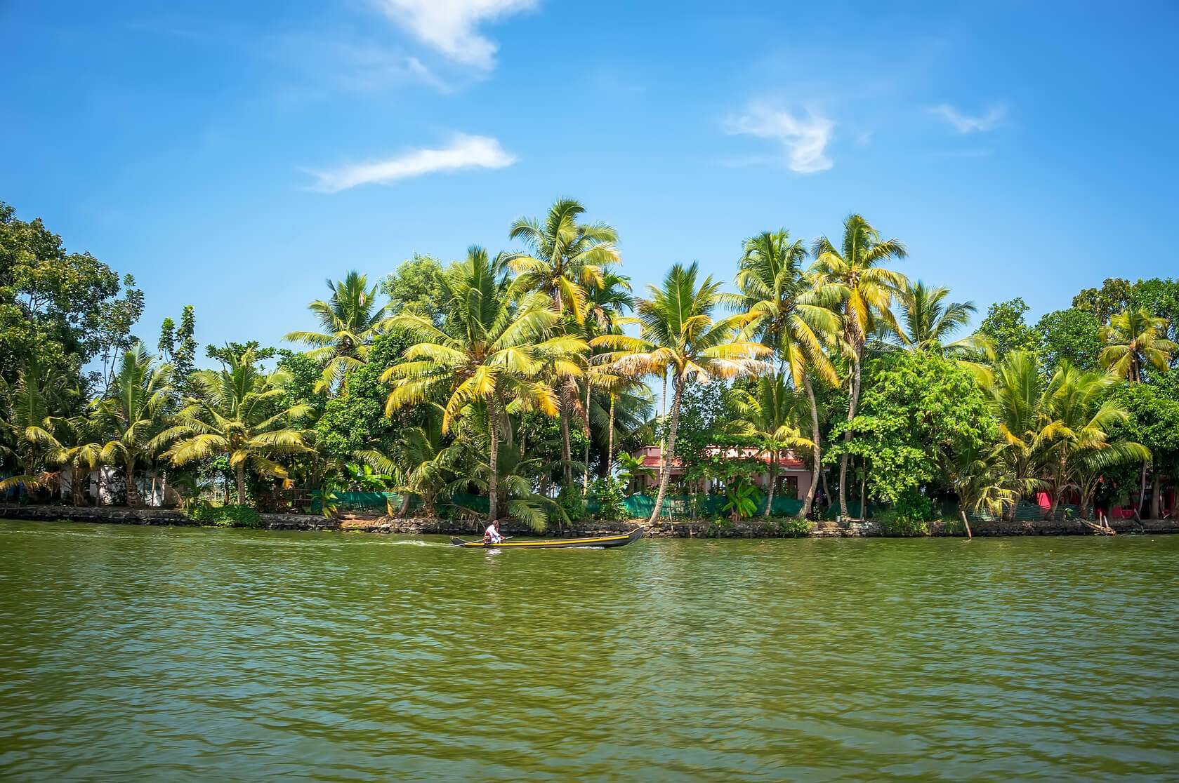 panoramic view with Coconut trees and fisherman house, backwaters landscape of Alleppey, Kerala, India