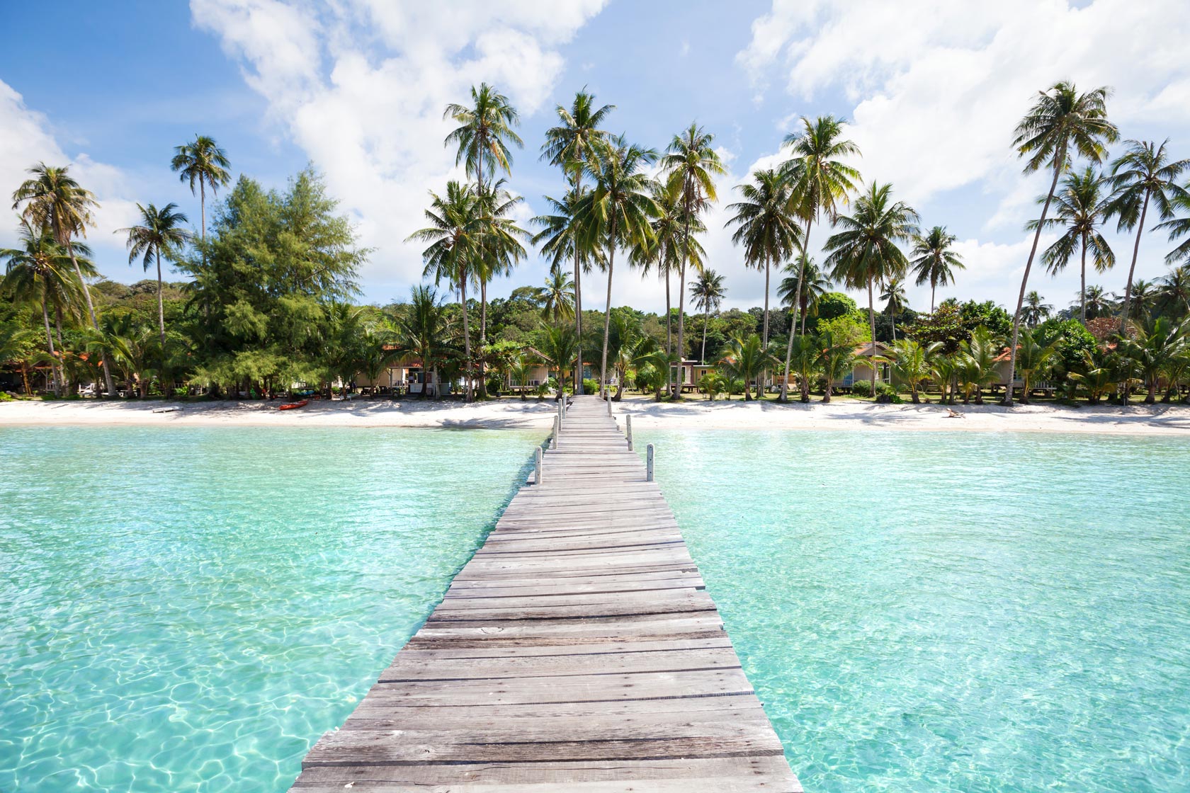 tropical palm trees, summer holidays in Thailand, Koh Kood