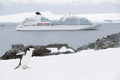 A penguin sits on an ice cliff as a Seabourn ship passes.